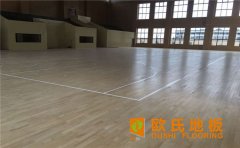 籃球場運動木地板為什么要用楓木