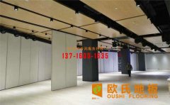 廣州市金地香山湖個人籃球館案例展示